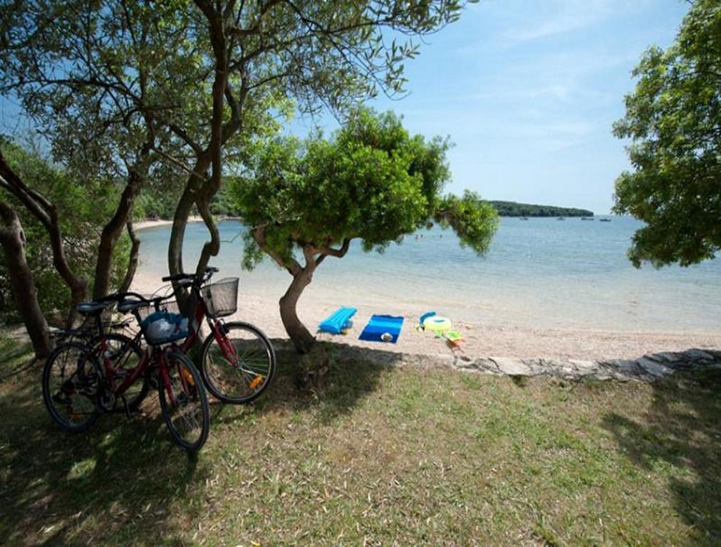 Casa Leona Apartment Rovinj Luaran gambar